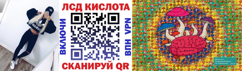 площадка как зайти  Юрьев-Польский  Марки 25I-NBOMe 1,8мг 